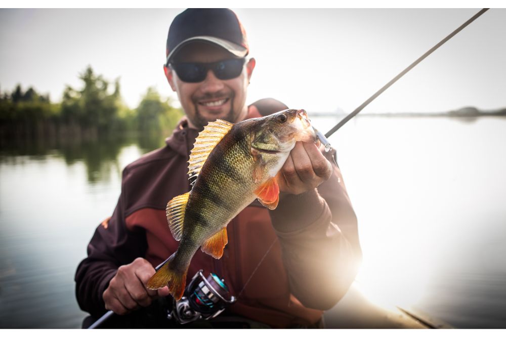 Happy angler with perch fishing trophy